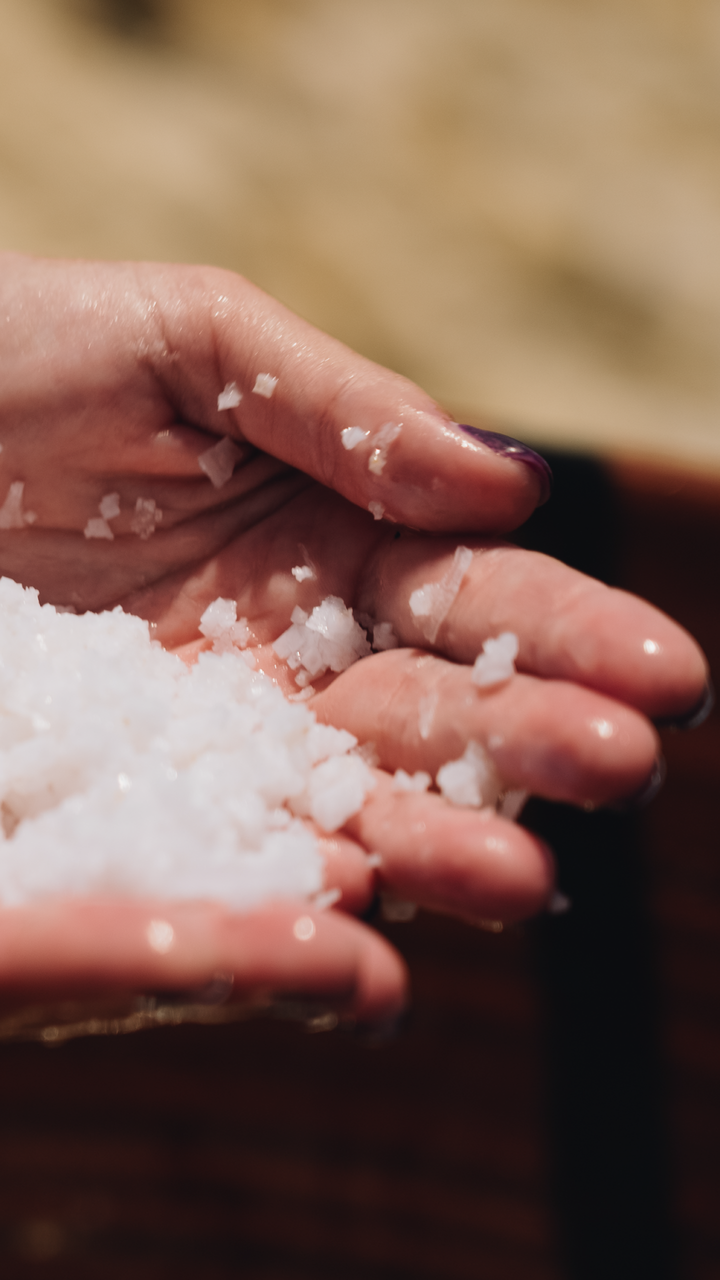 fotos web_Mesa de trabajo 1